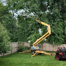 How Our Tree Care Process Works  in Naples Park, FL